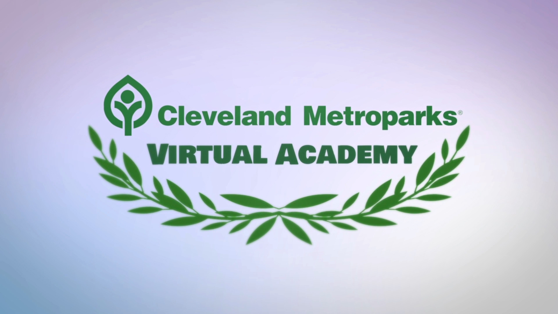 Virtual Academy 