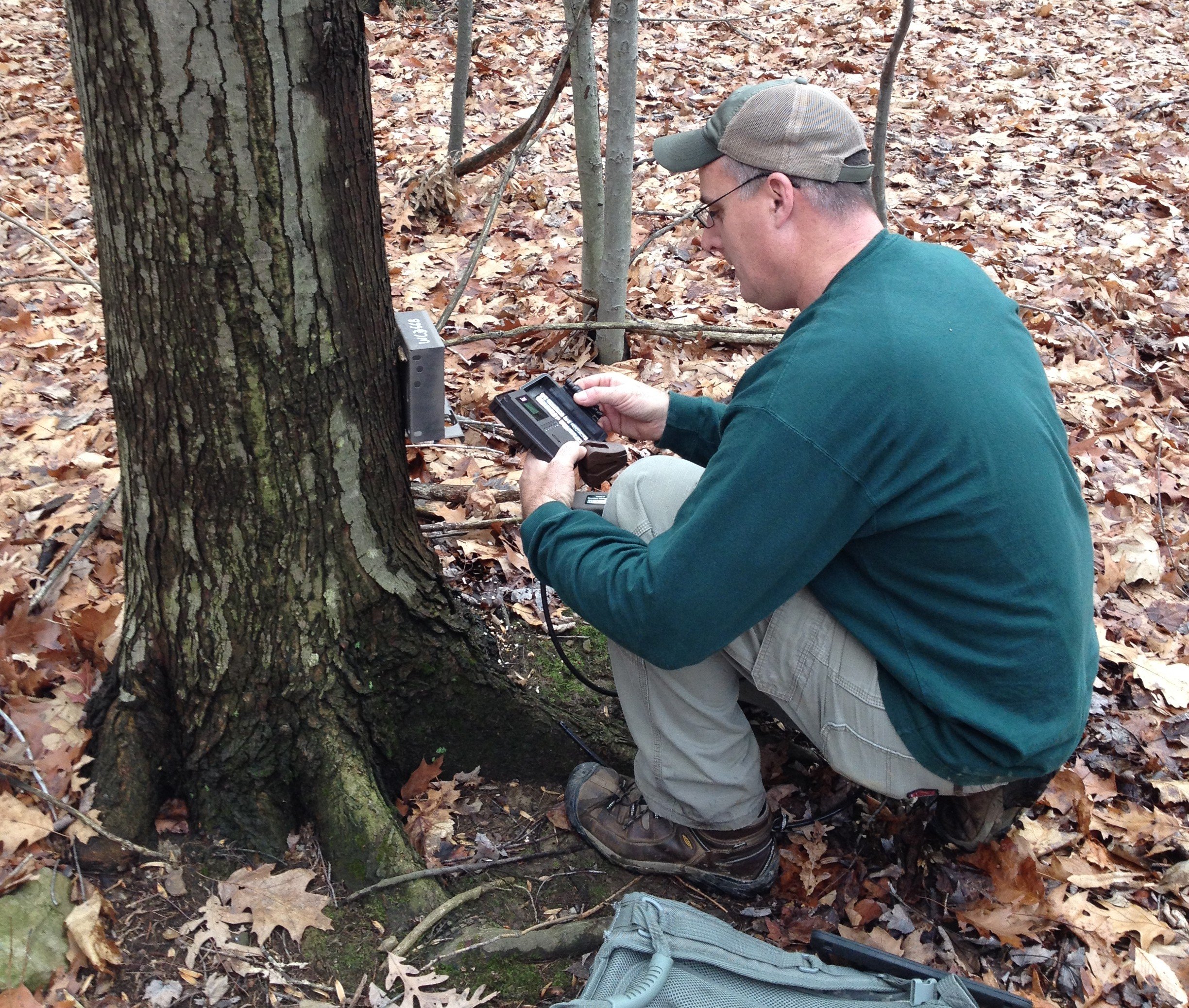 wildlife-research