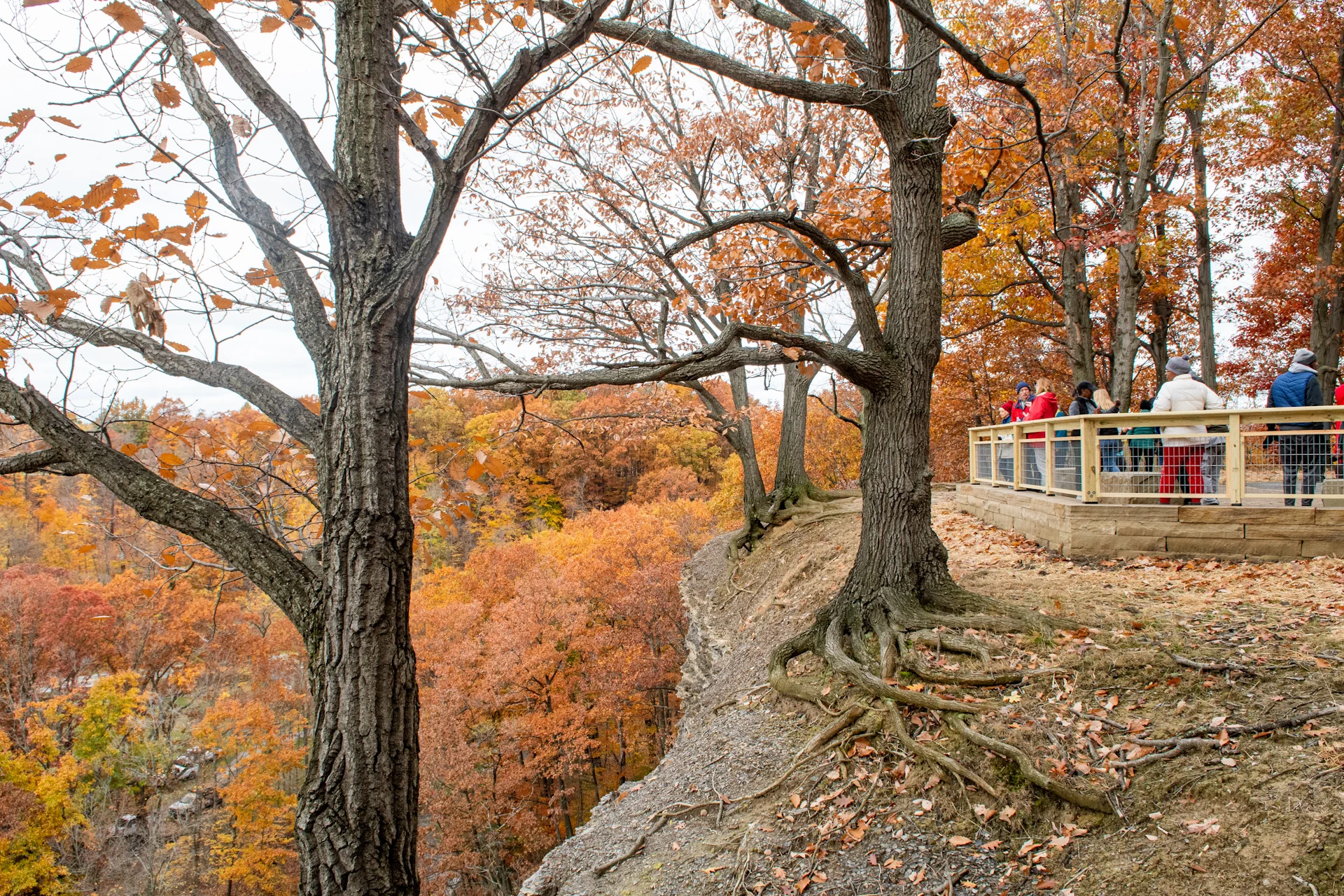 eastern ledge overlook