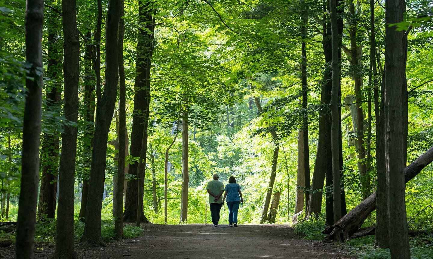 BrR-Summer-Hike