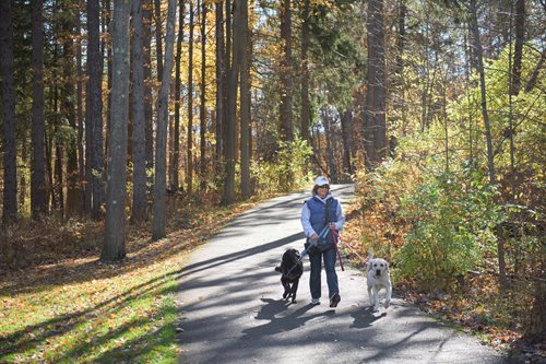 Woman walking her two dogs along a trail in the fall 