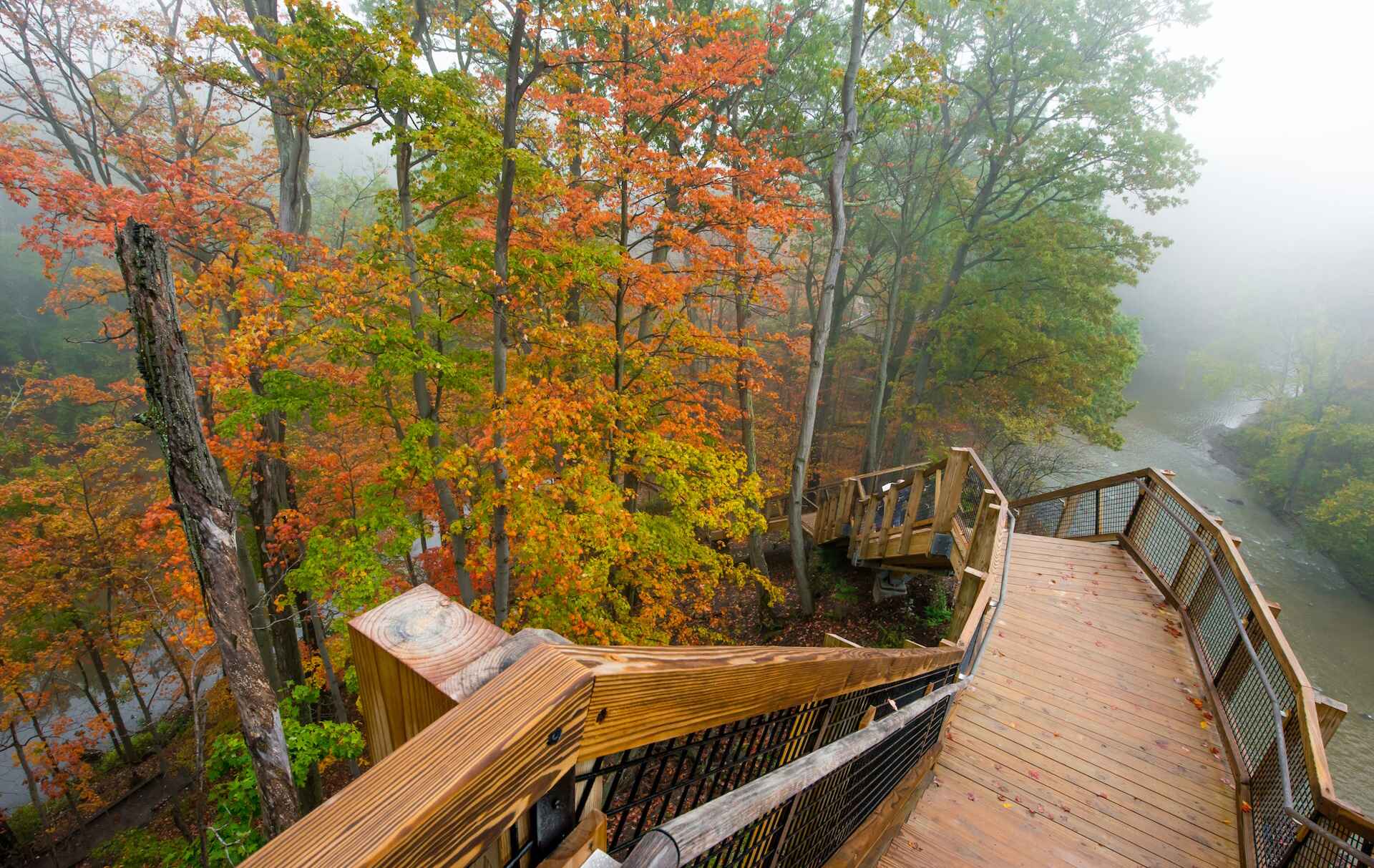 orange leaves and a descalating staircase