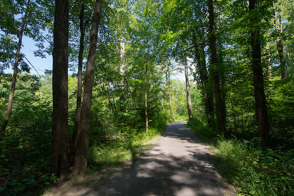 Cahoon-Creek-Loop-Bradley-Woods