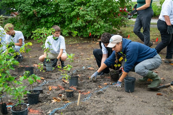 Photo of group of children and adults planting trees