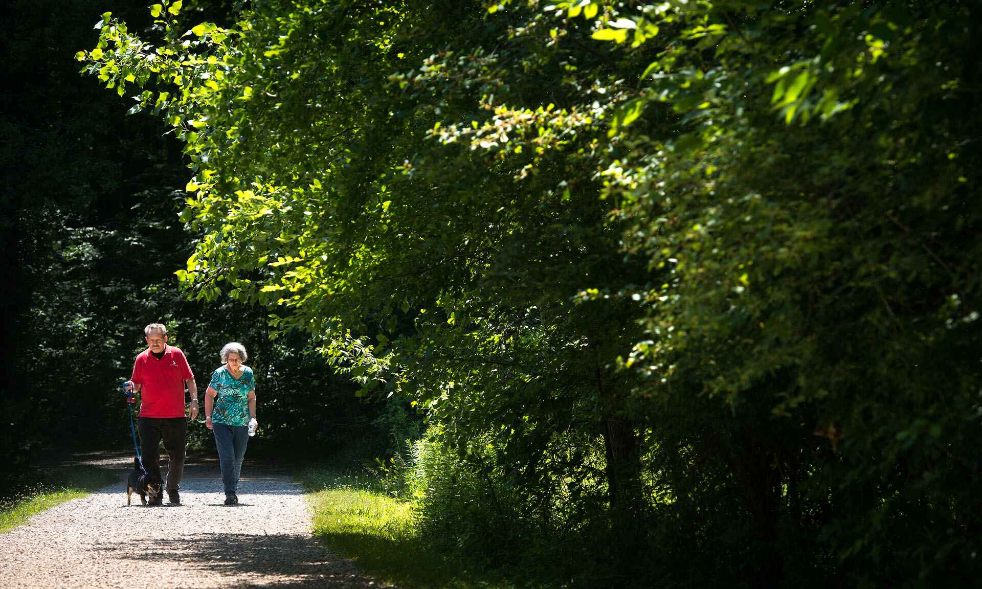 Two old people walking with dog