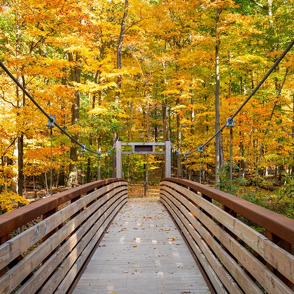 Photo of Eastern Ledge Trail in Fall