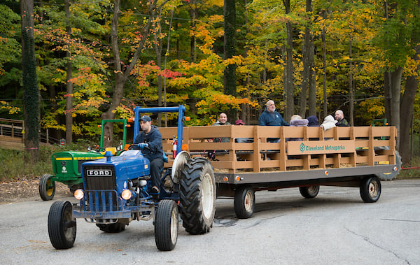 Hayride at the Chalet