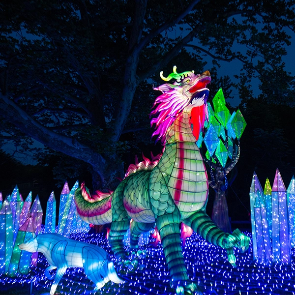 Dragon festival lantern