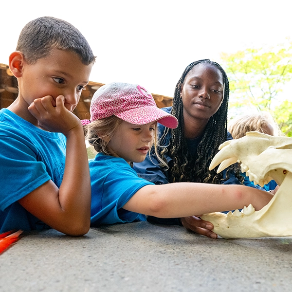 Kids learning about animals