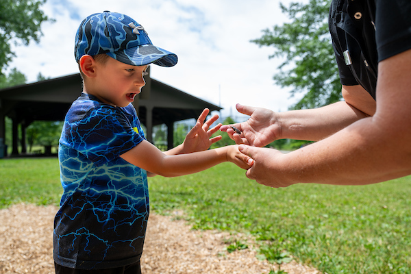 Boy holding bug