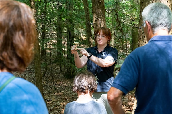 Naturalist holding mushroom