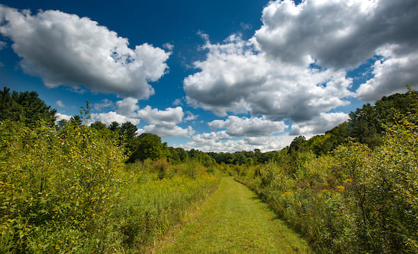 KCL_9366