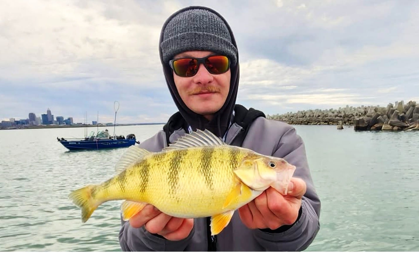 photo of man holding a yellow perch in Lake Erie