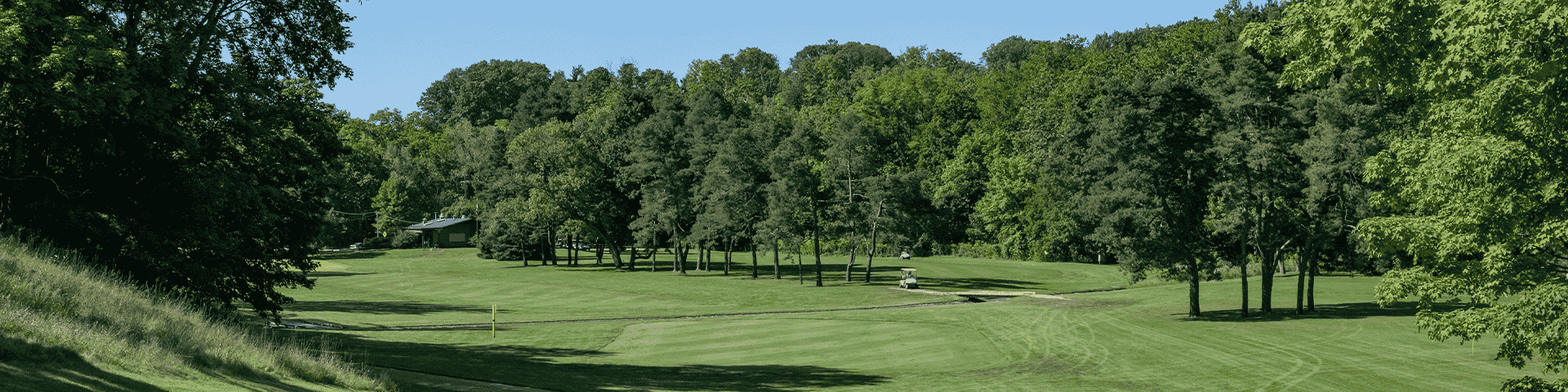 Golf course surrounded by trees