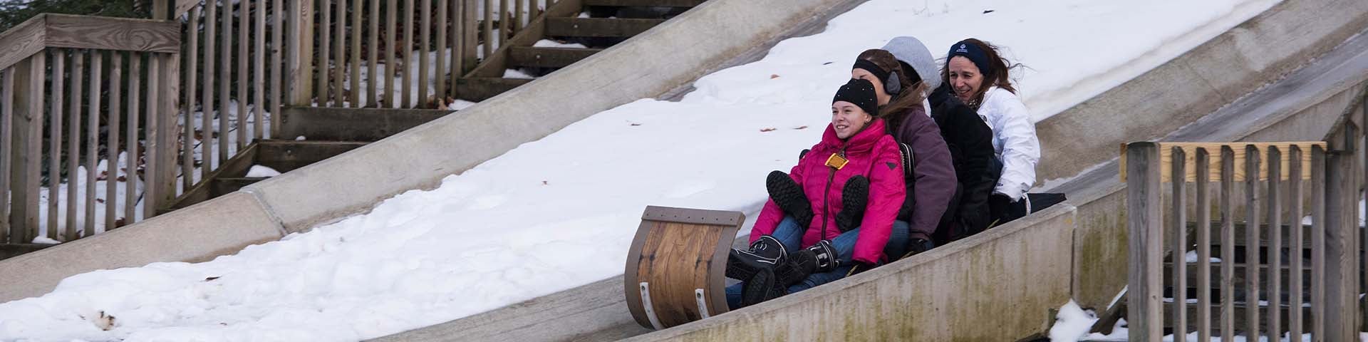 People tobogganing