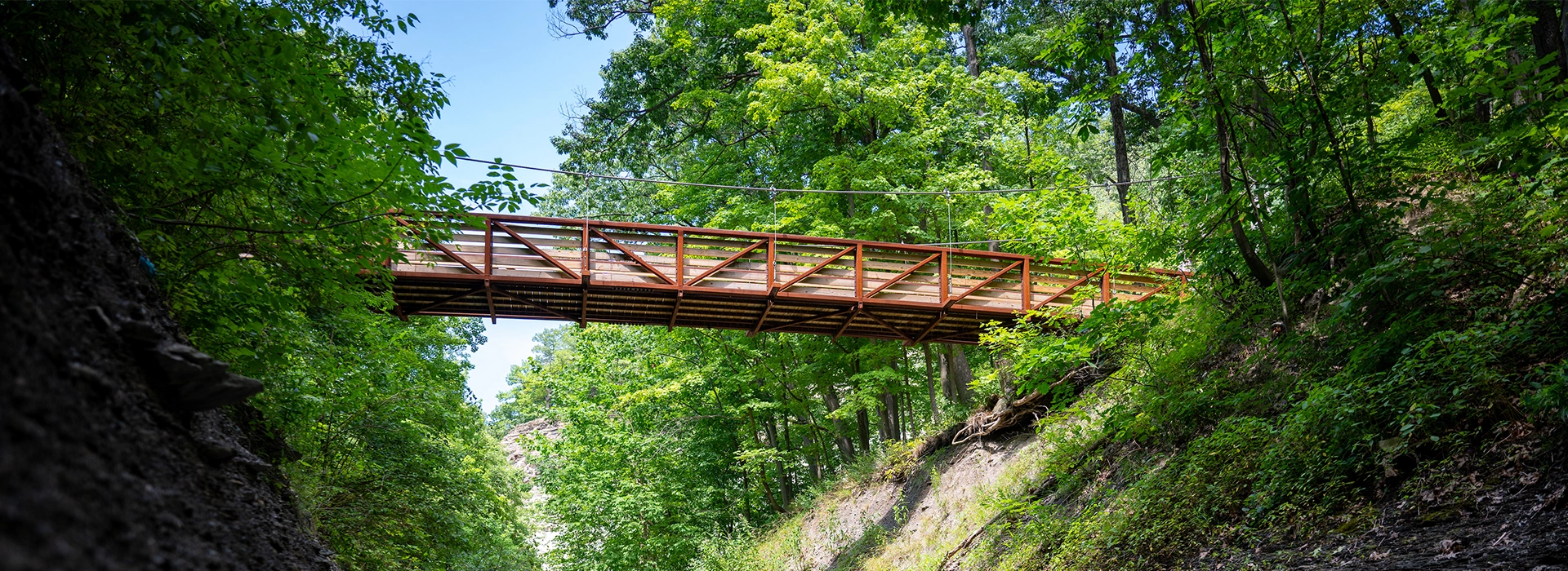 Photo of Eastern Ledge Trail Bridge