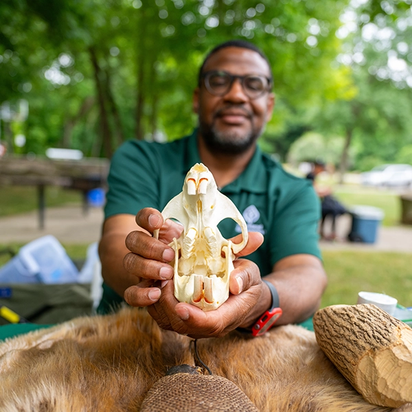 Photo of Naturalist holding animal skull for educational purposes