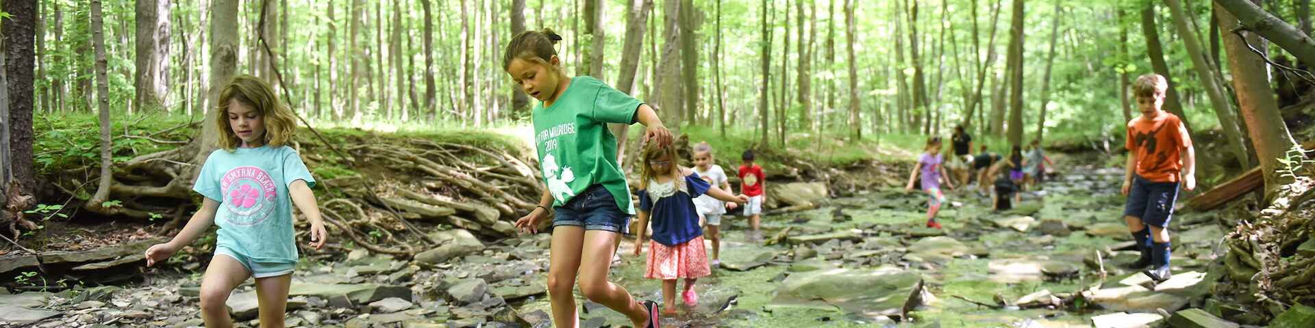Children exploring in nature
