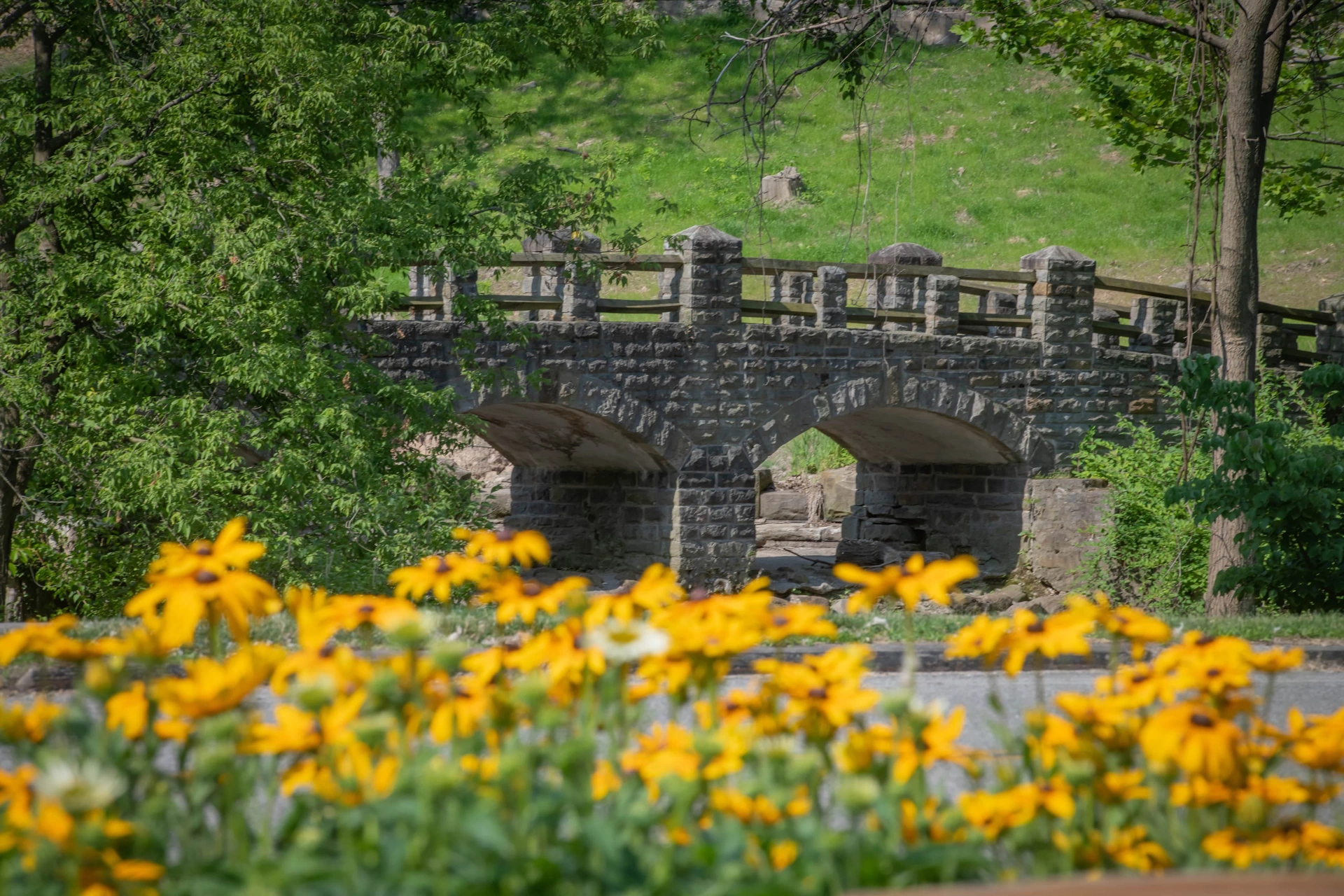 Garfield-Pond_Bridge-and-Flowers-min