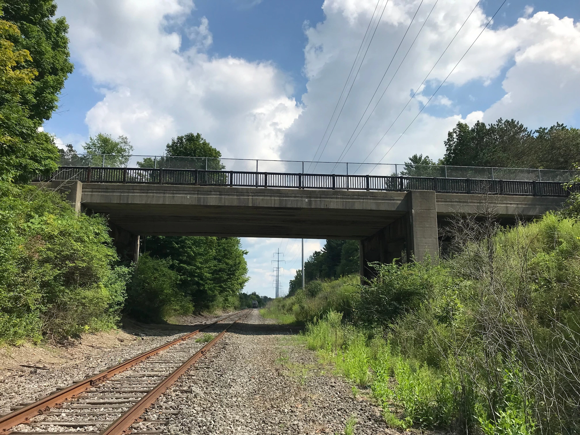 Hawthorn Bridge Replacement Hero Image