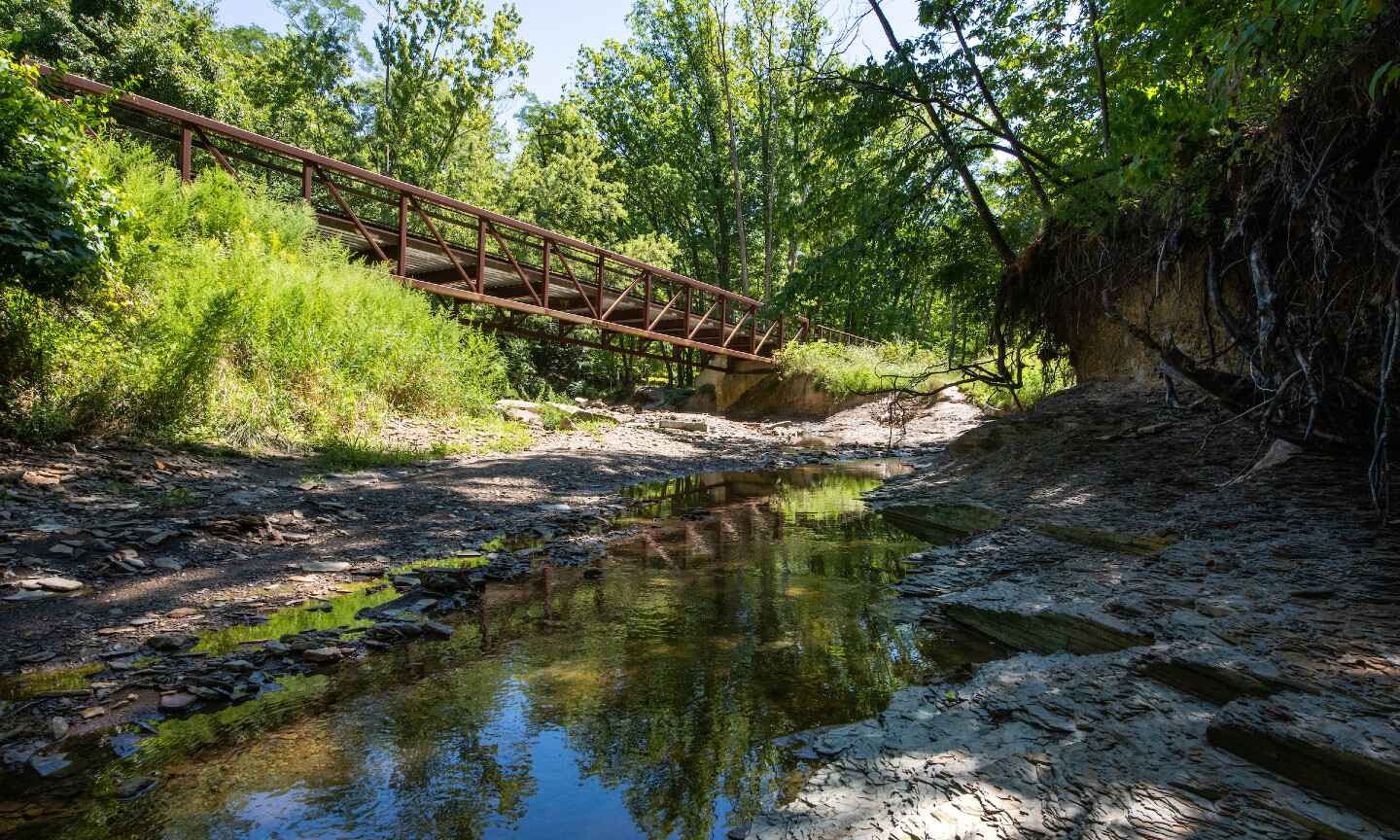 water and green trees surrounding a bridge