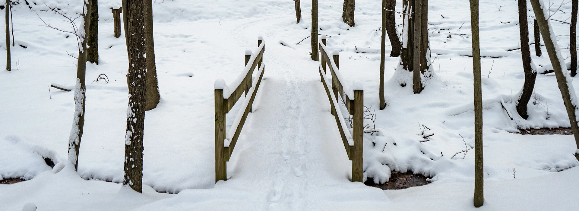 Snowy Trail in West Creek Reservation