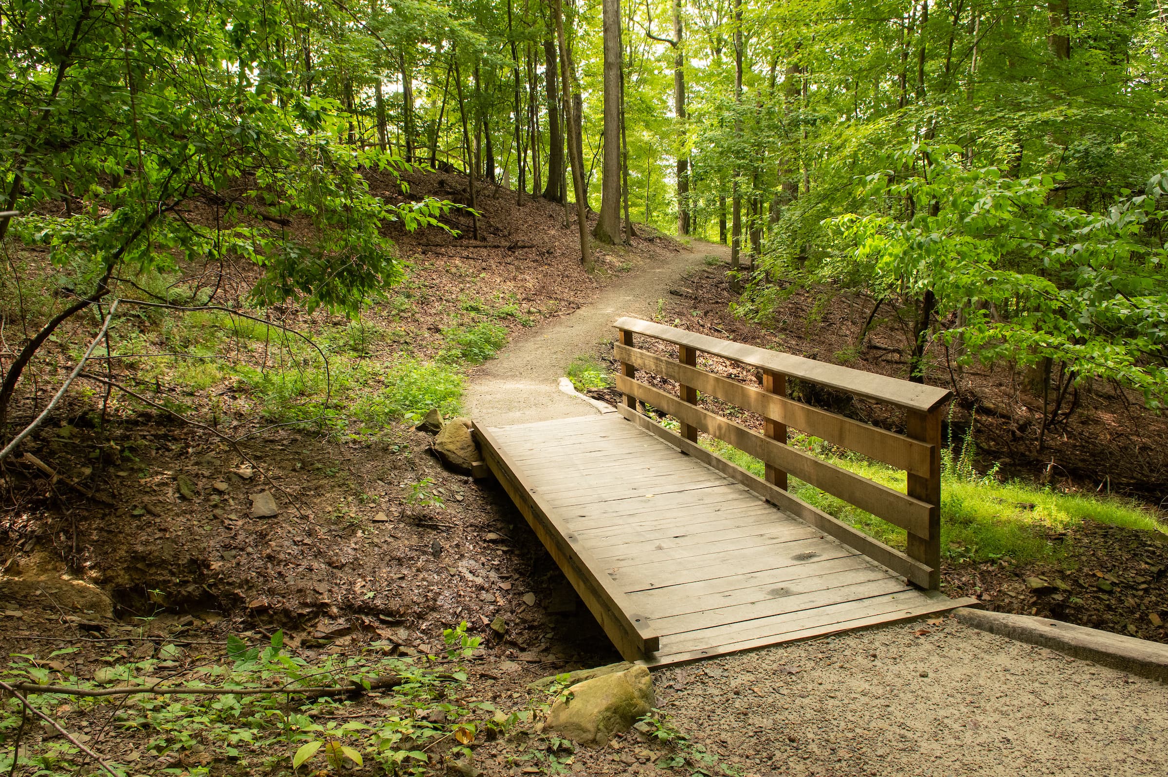 West Creek Greenway - Coventry to Broadview