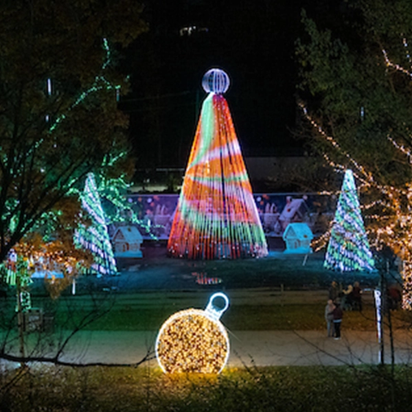 Photo of Tree light display at Cleveland Metroparks Zoo