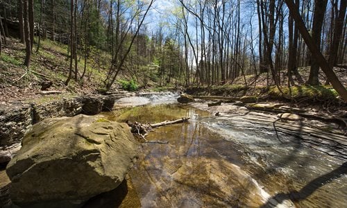 Creek_Spring