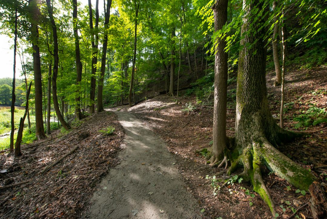 trails-3
