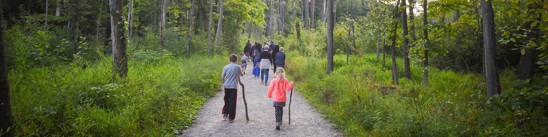 People hiking on a trail in the woods