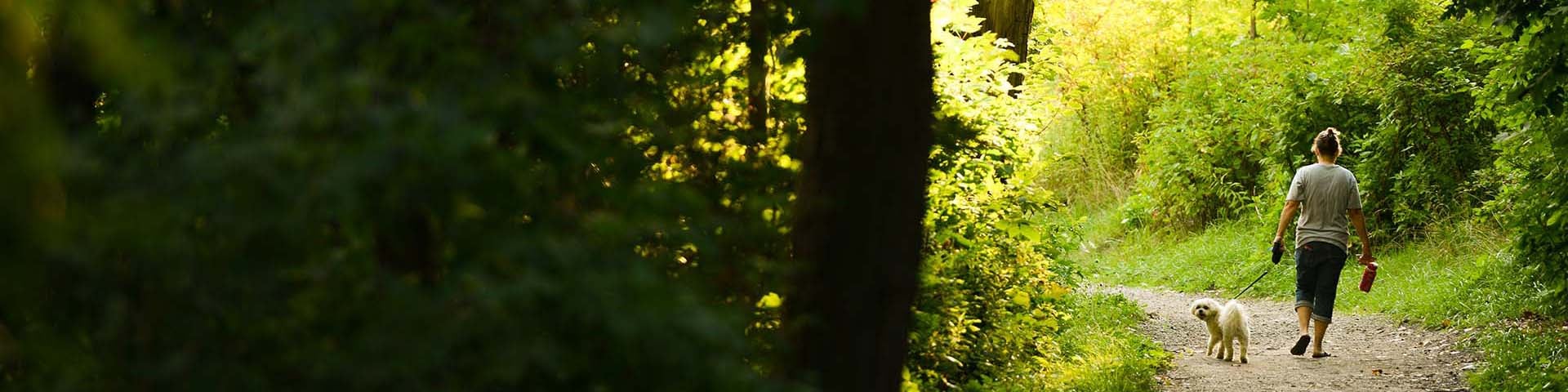 Walking_banner_01