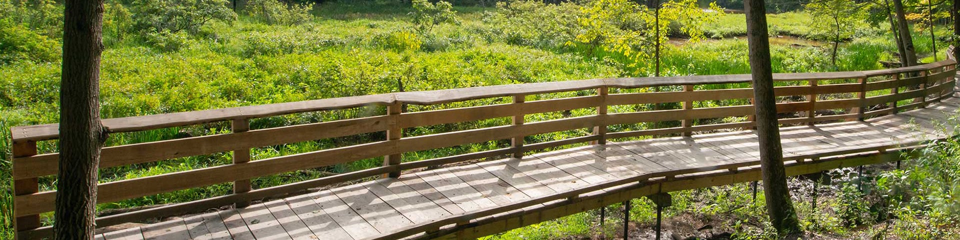 board walk