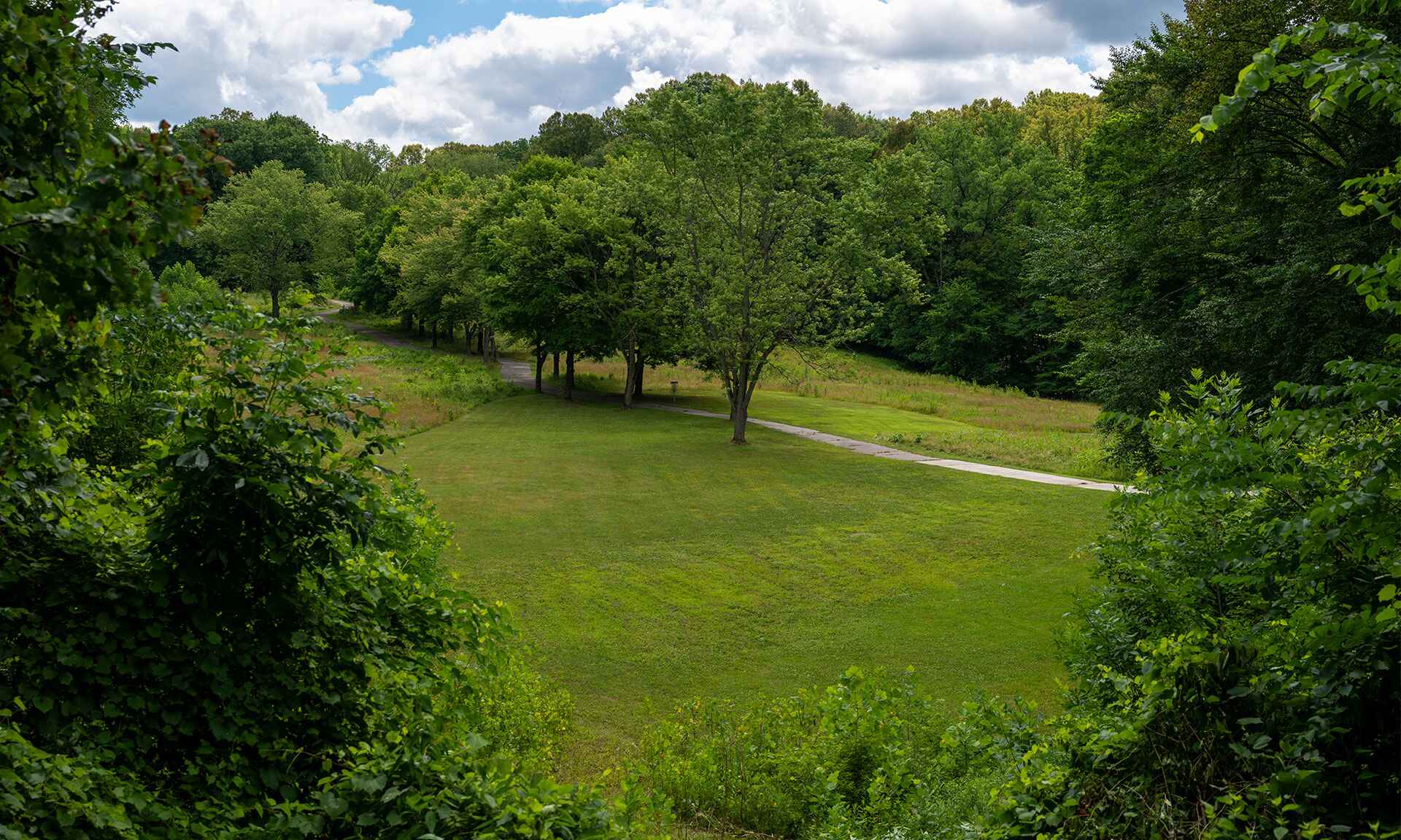 A disc golf course