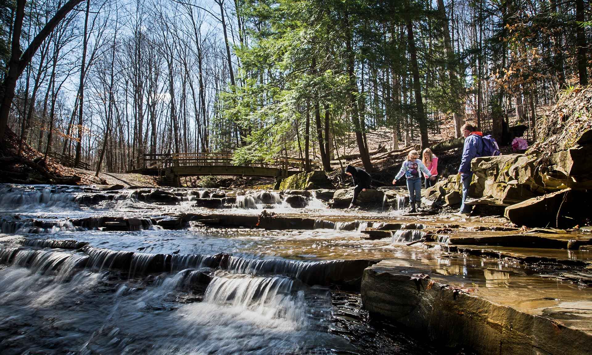 People standing near a waterfall