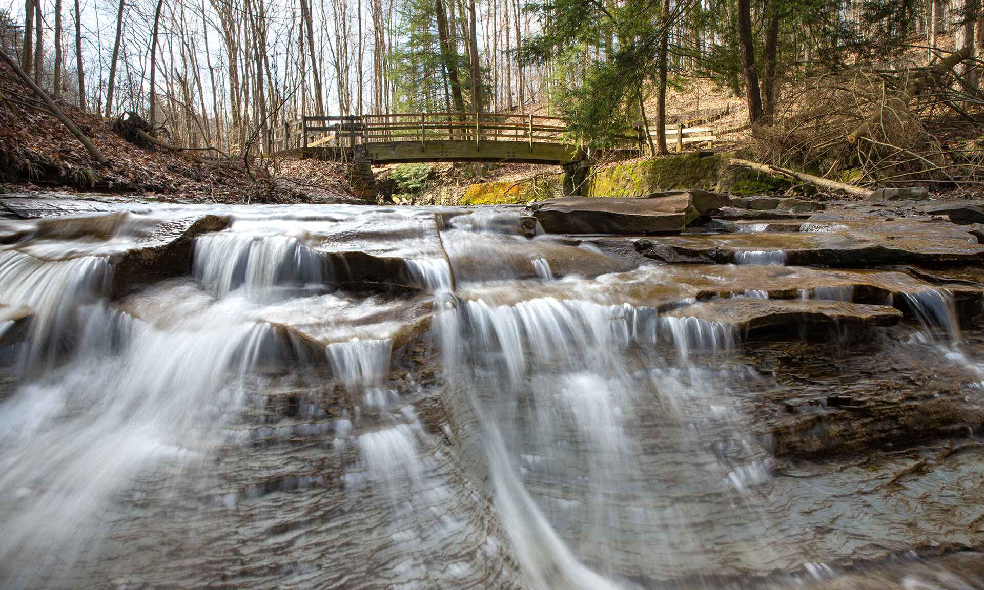 Water rushing over stones in a creek