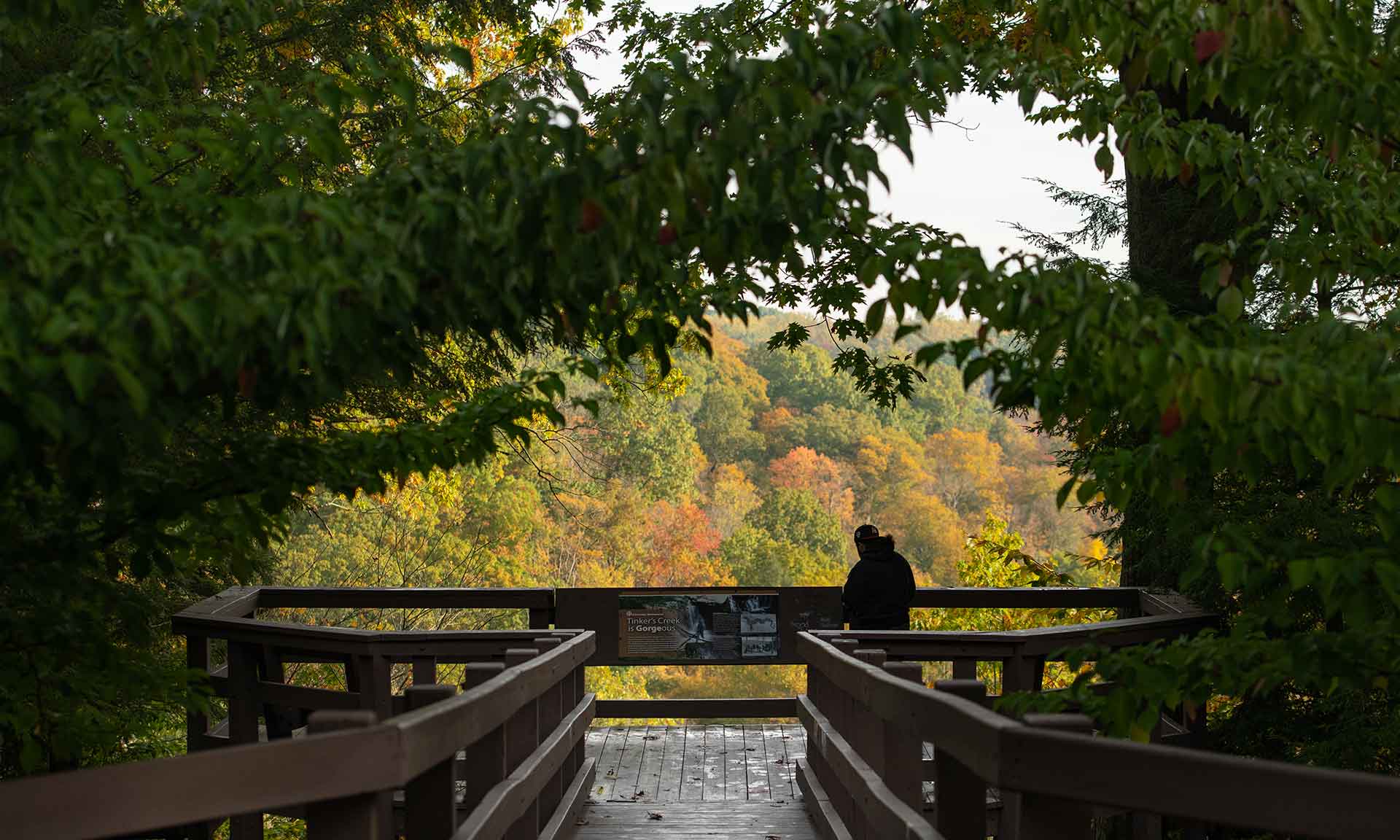 Wooden platform for viewing the scenery