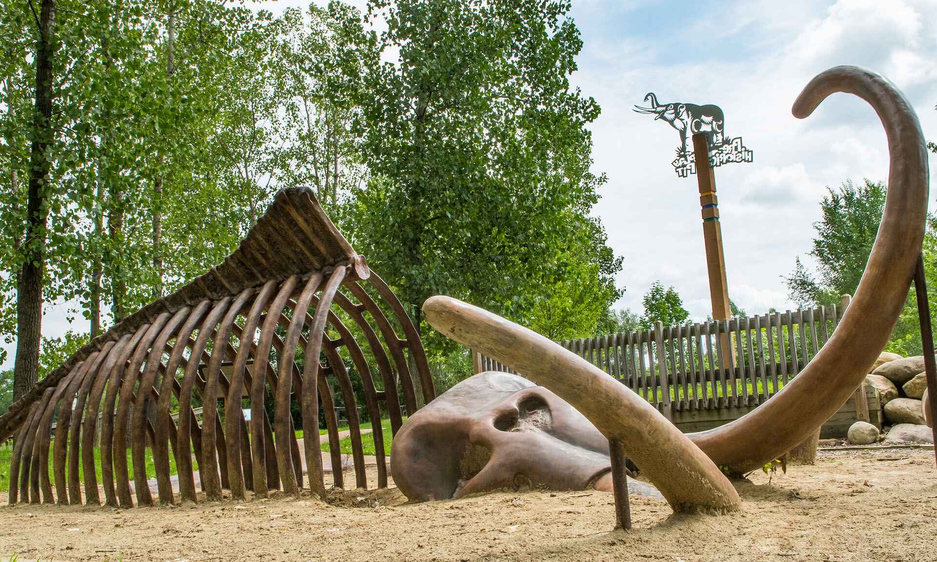 Dinosaur bone remains