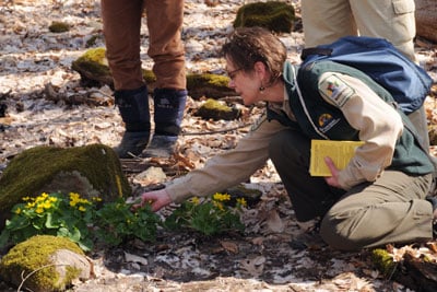 Naturalist looking at plants