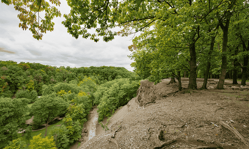 Overlook of trees and creek from the ledge of the trail