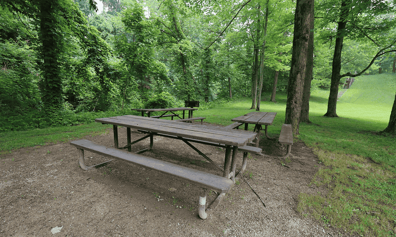 Wooden picnic tables in the park