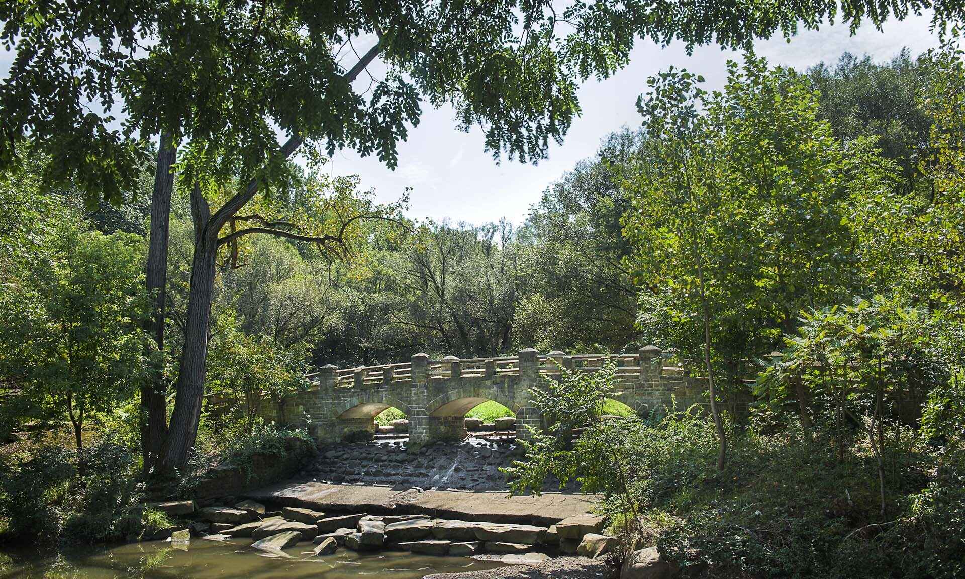 Bridge with trees and water around it