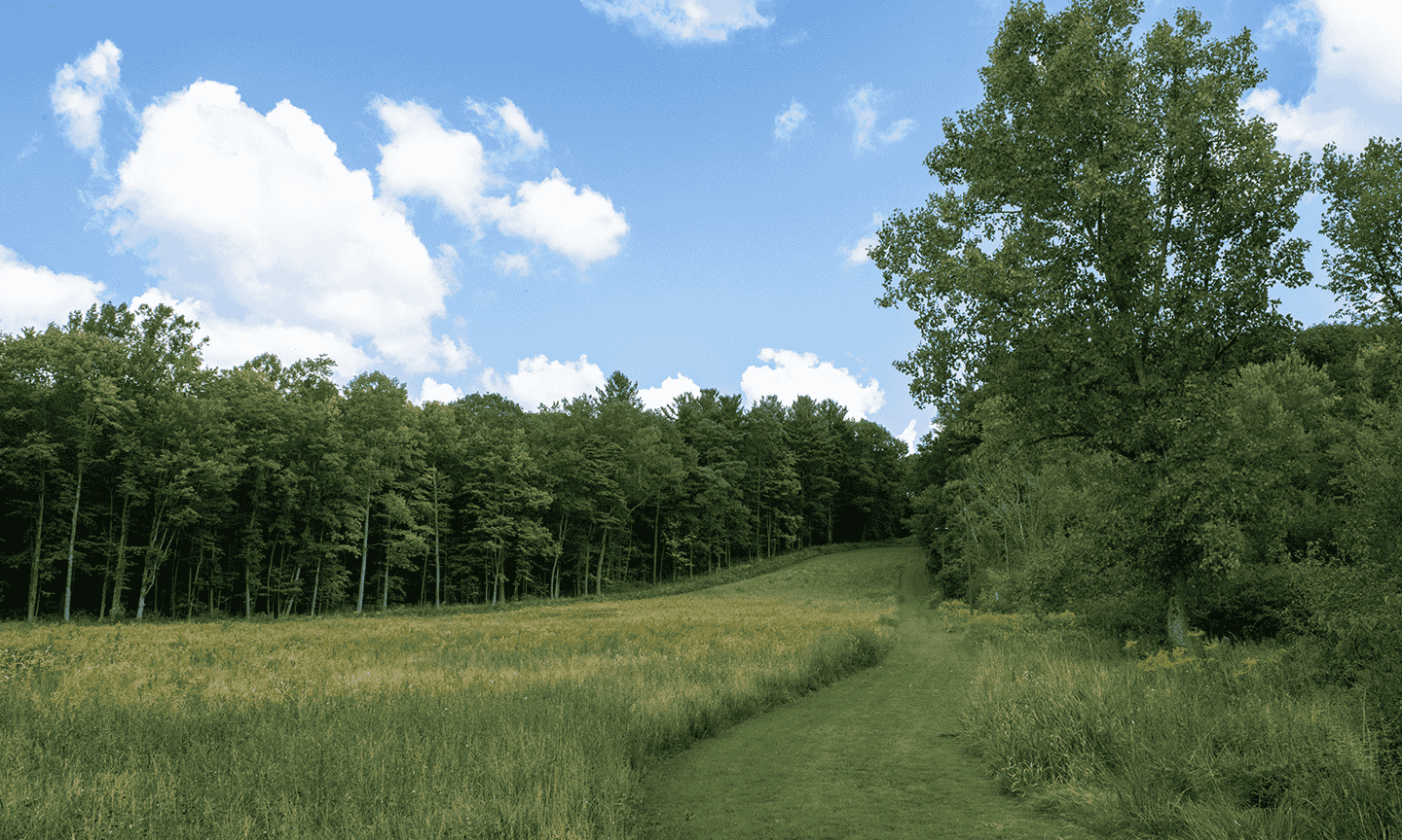 Sledding hill without snow