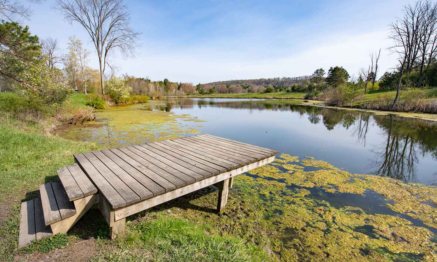 Pier on a lake
