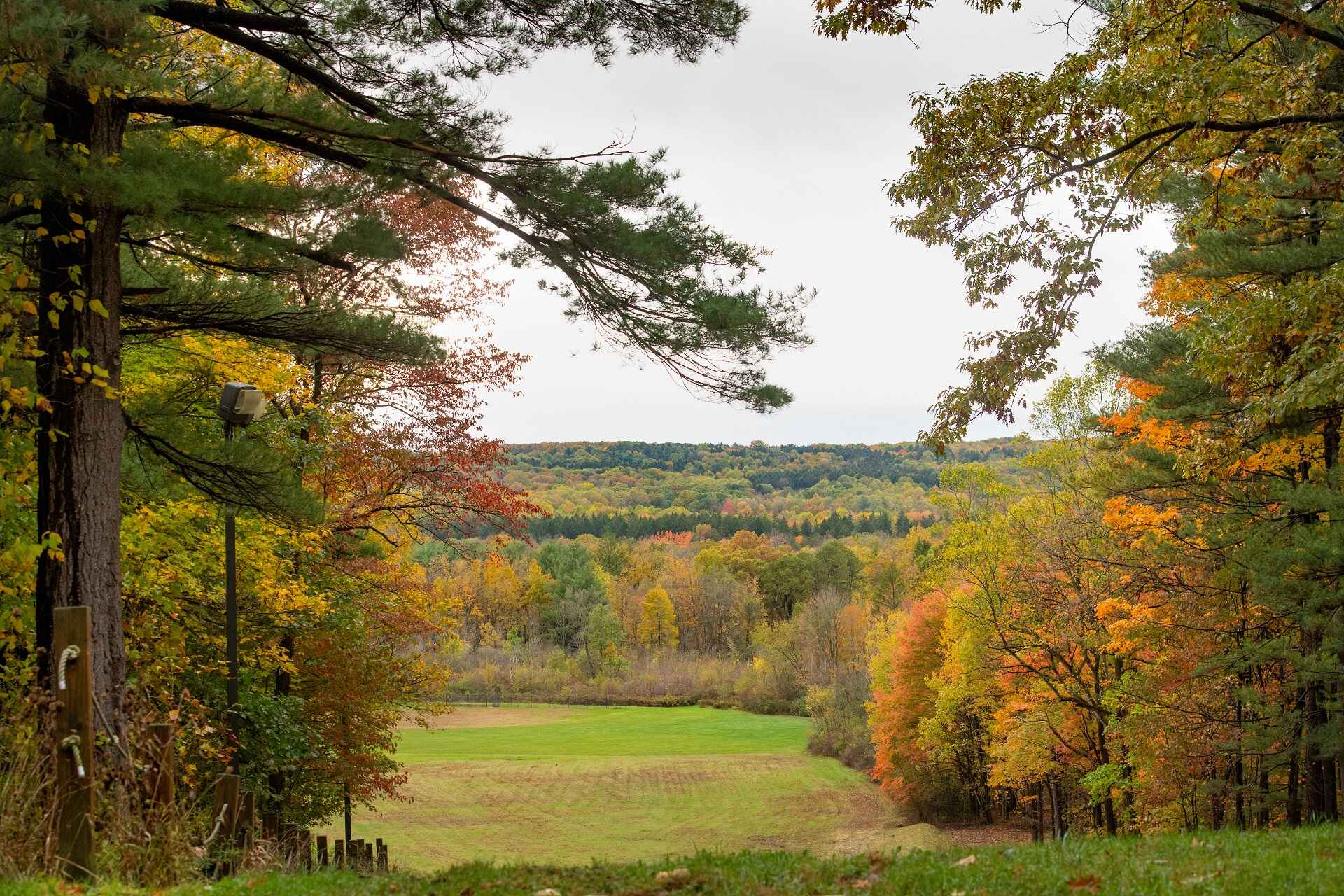 Sledding hill in the autumn