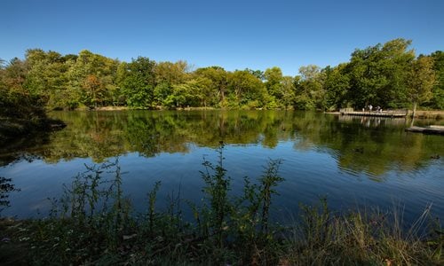Wallace Lake Picnic Area