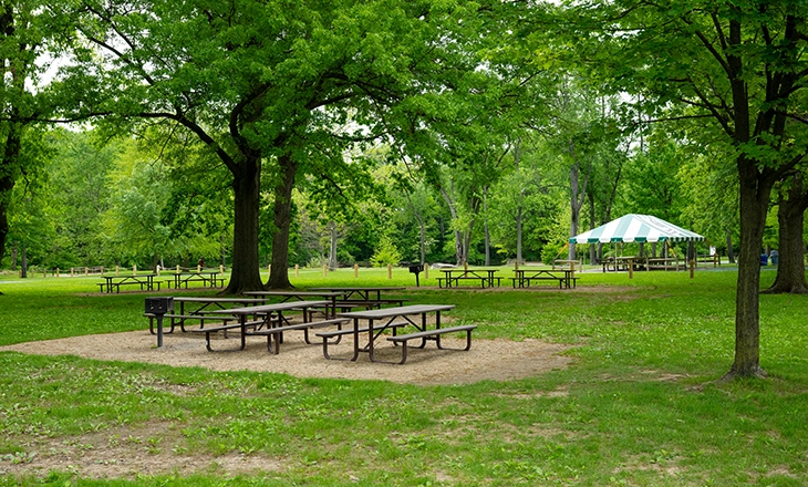 Wallace-Lake-Picnic-Area_2