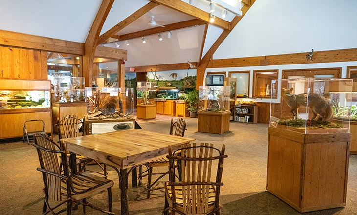 NCNC_Interior_01