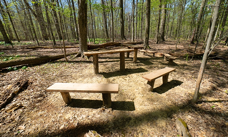 Williams-Woods_Kitchen-Area