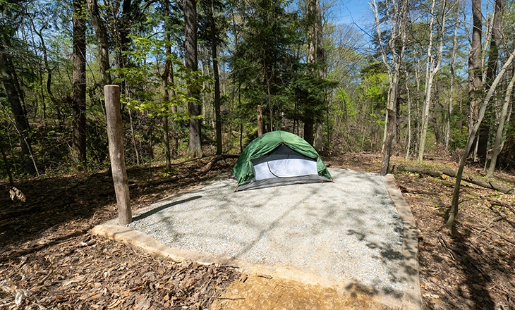 Williams Woods Backcountry Site 3